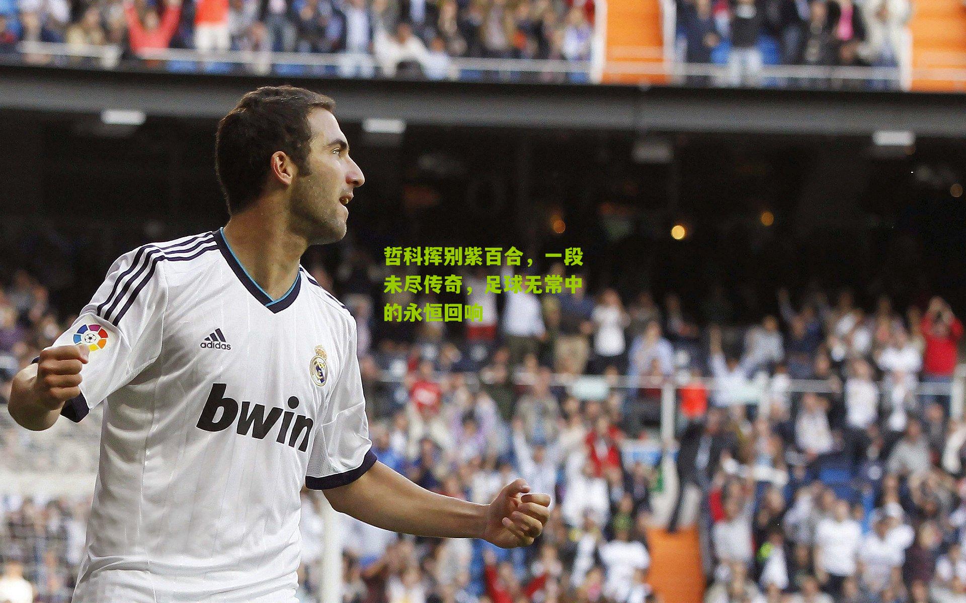 哲科挥别紫百合,一段未尽传奇,足球无常中的永恒回响